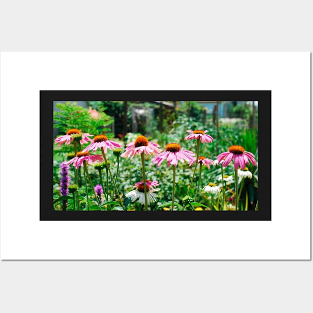 Echinacea Purpurea Wall Art by jojobob